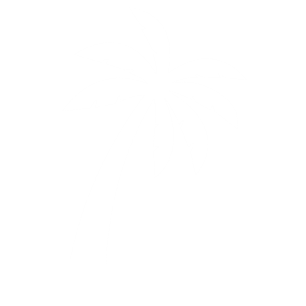 palm tree